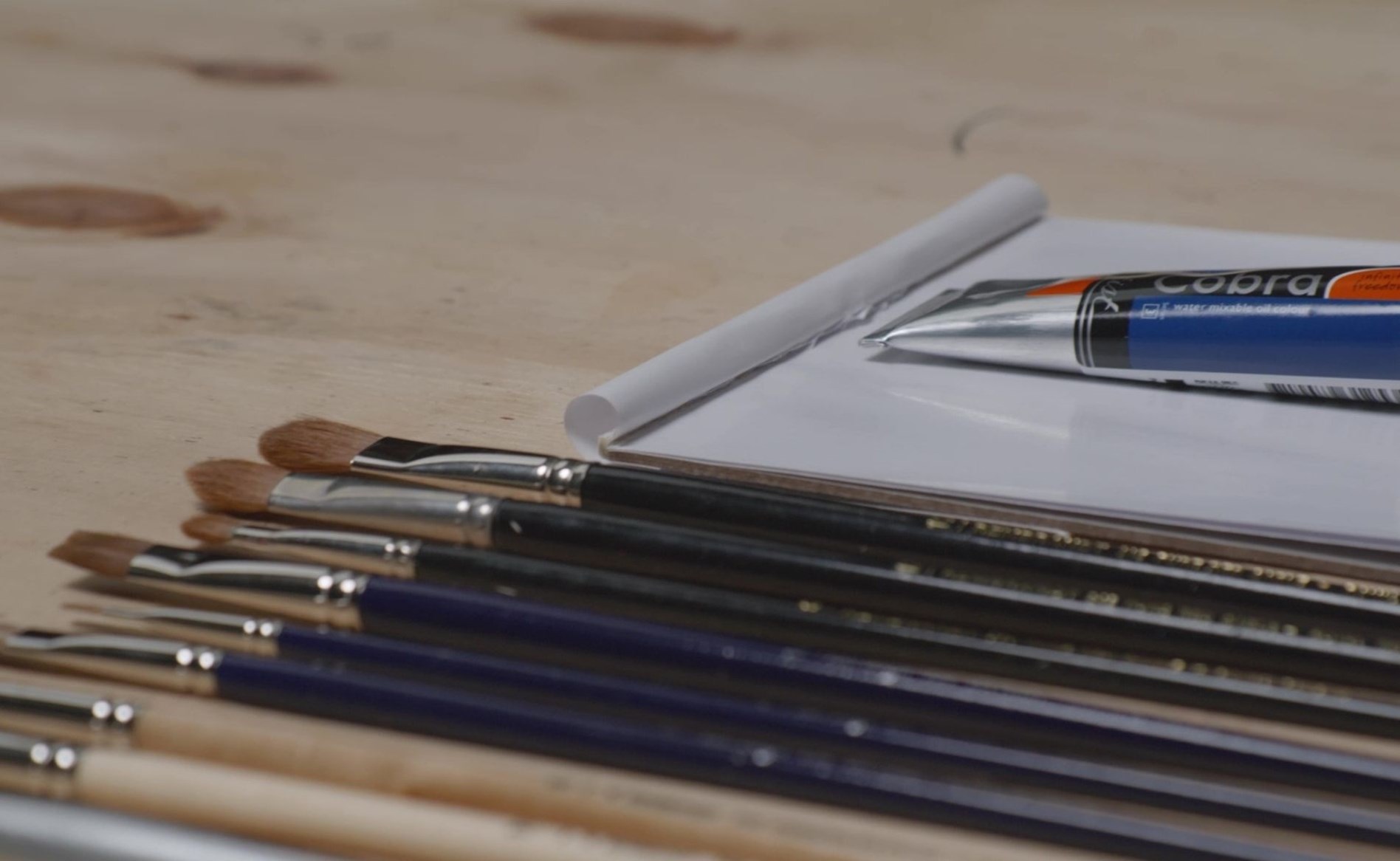 Video Brushes Cobra Oil Paint