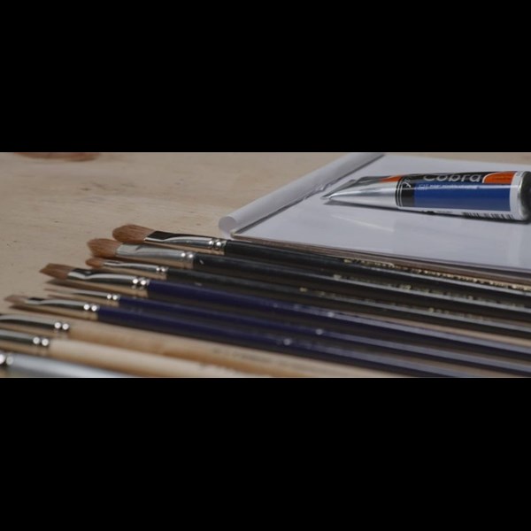 Video Brushes Cobra Oil Paint