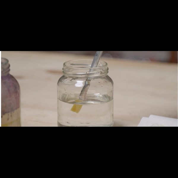 Video Cleaning brushes Cobra Oil Paint